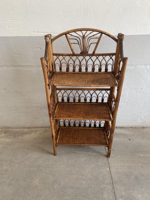 Mid-Century French Bamboo and Rattan Shelf, 1950s-DHH-686888