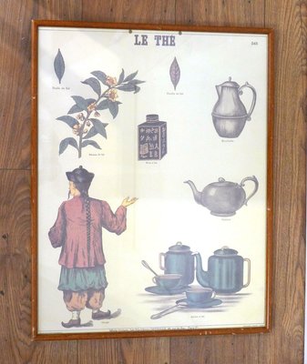 Mid-Century French Educational Poster on Tea-RNR-625639