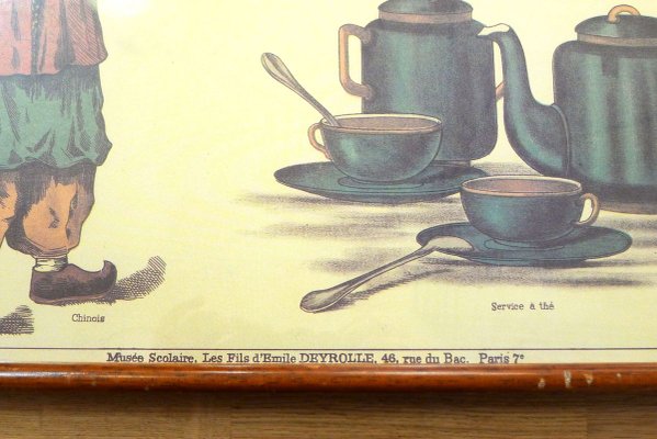 Mid-Century French Educational Poster on Tea-RNR-625639