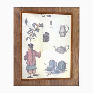 Mid-Century French Educational Poster on Tea-RNR-625639