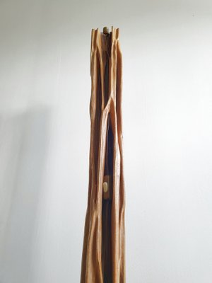 Mid-Century French Floor Lamp in Driftwood & Mahogany, 1950s-CGX-1718401