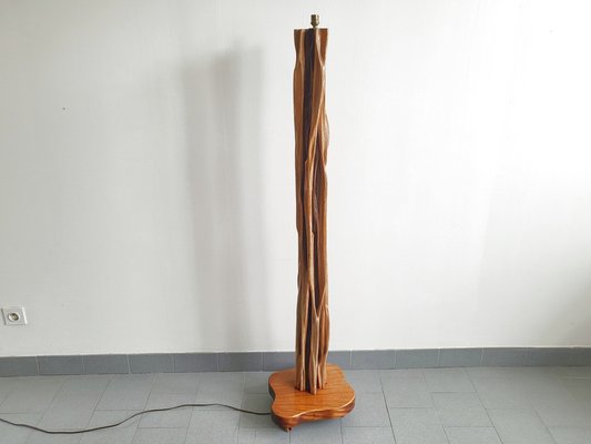 Mid-Century French Floor Lamp in Driftwood & Mahogany, 1950s-CGX-1718401