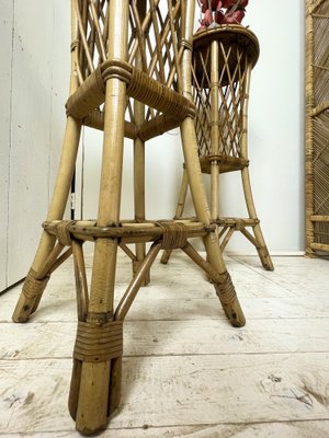 Mid-Century French Rattan and Bamboo Plant Stands, Set of 2-WZZ-1312043