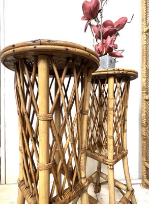 Mid-Century French Rattan and Bamboo Plant Stands, Set of 2-WZZ-1312043