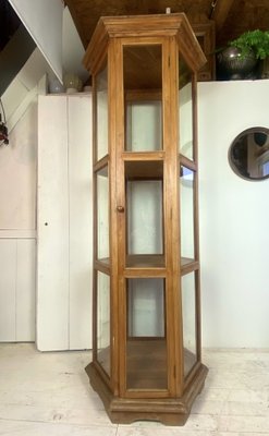 Mid-Century French Teak Wood Vitrine Display Cabinet, 1960s-WZZ-1122034