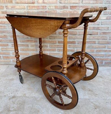 Mid-Century French Wooden Bar Cart Trolley, 1950s-NOU-1739762