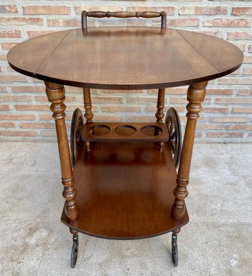 Mid-Century French Wooden Bar Cart Trolley, 1950s-NOU-1739762