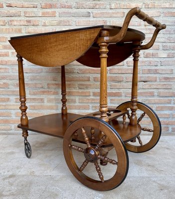 Mid-Century French Wooden Bar Cart Trolley, 1950s-NOU-1739762