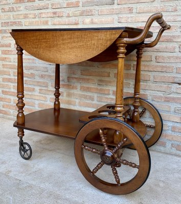 Mid-Century French Wooden Bar Cart Trolley, 1950s-NOU-1739762