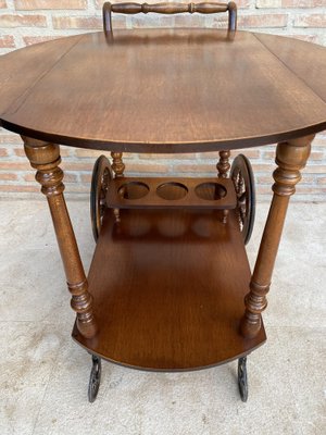 Mid-Century French Wooden Bar Cart Trolley, 1950s-NOU-1739762