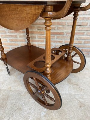 Mid-Century French Wooden Bar Cart Trolley, 1950s-NOU-1739762