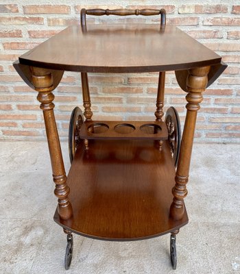 Mid-Century French Wooden Bar Cart Trolley, 1950s-NOU-1739762