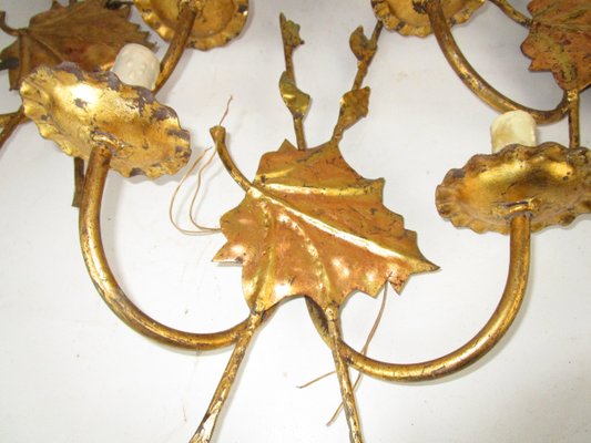 Mid-Century Gilded Iron Sconces, 1950s, Set of 3-ZVO-555209