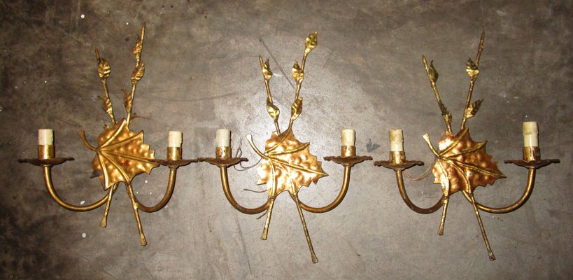 Mid-Century Gilded Iron Sconces, 1950s, Set of 3-ZVO-555209