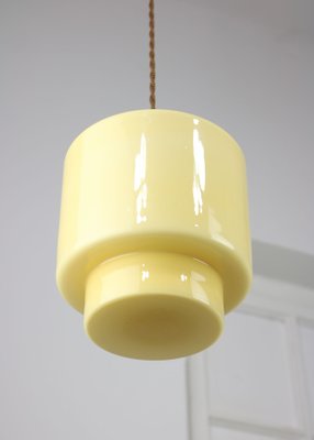 Mid-Century Glass Pendant Lamp-HGJ-1170275