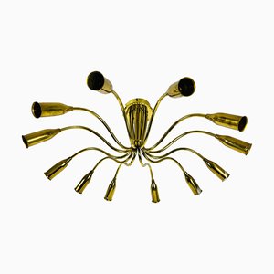 Mid-Century Italian Brass 12-Arm Sputnik Chandelier Attributed to Arredoluce, 1950s-PUK-1317213