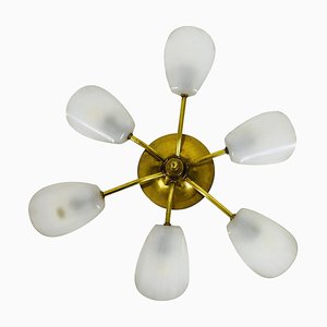 Mid-Century Italian Brass 5-Arm Sputnik Chandelier, 1950s-PUK-1317209