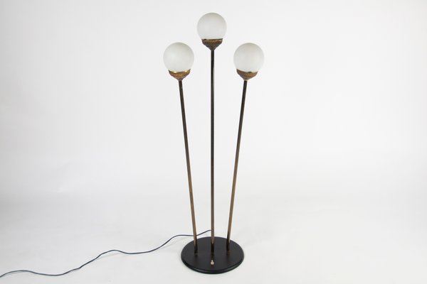 Mid-Century Italian Globe Floor Lamp from Stilnovo, 1950s-WUY-878856