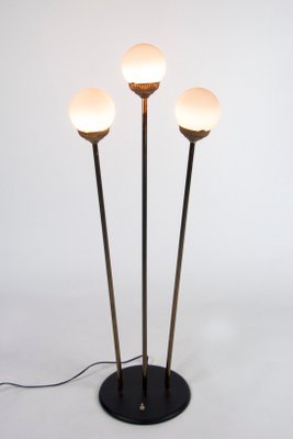 Mid-Century Italian Globe Floor Lamp from Stilnovo, 1950s-WUY-878856