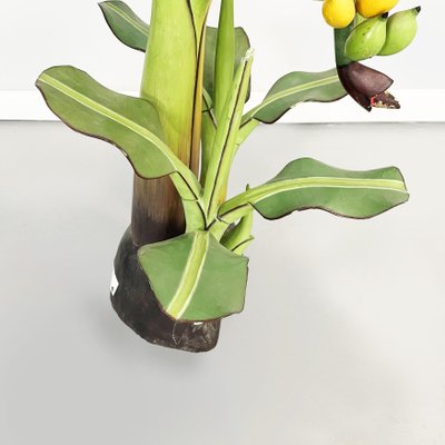 Mid-Century Italian Modern Wooden Sculpture of a Banana Plant, 1950s-GDD-1308846