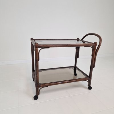 Mid-Century Italian Trolley in Bentwood and Smoked Glass, 1970s-RQL-2025999