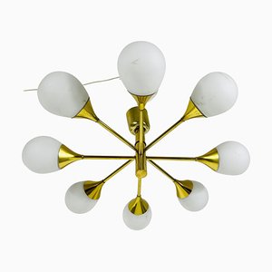 Mid-Century Modern Brass Chandelier from Kaiser Leuchten, 1960s-PUK-1351420