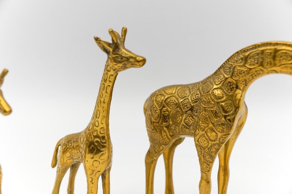 Mid-Century Modern Brass Giraffe & Lion Figurines, 1960s, Set of 5-KQB-1755707