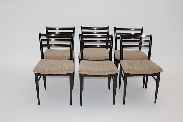 Mid-Century Modern Brown Beech Dining Chairs in the style of Gio Ponti, Italy, 1960s, Set of 6-NB-1322858