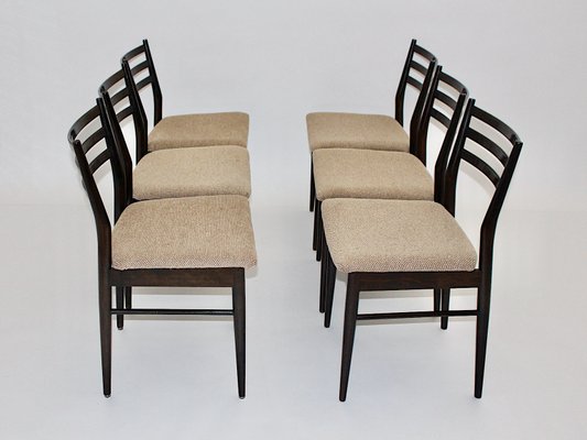 Mid-Century Modern Brown Beech Dining Chairs in the style of Gio Ponti, Italy, 1960s, Set of 6-NB-1322858