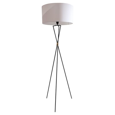 Mid-Century Modern French Black Lacquered Floor Lamp, 1950-UZ-1131799