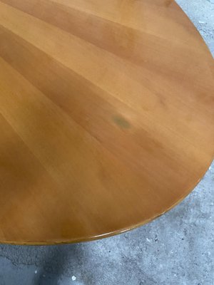 Mid-Century Modern Italian Oval Table in the style of G. Offredi for Saporiti, 1970s-DHH-1797980