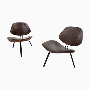 Mid-Century Modern P31 Chairs attributed to Osvaldo Borsani for Tecno, 1950s, Set of 2-FGA-1782274