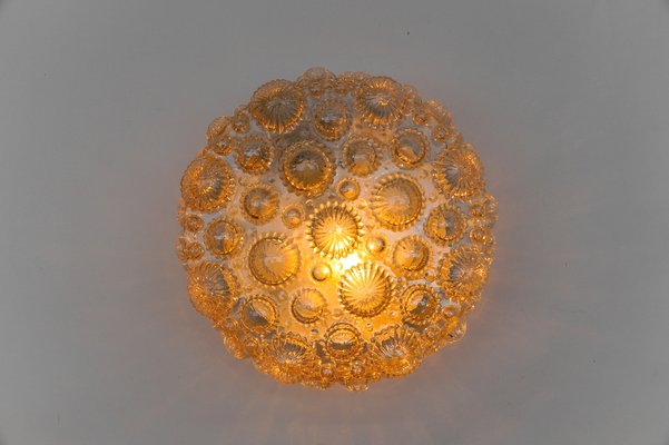 Mid-Century Modern Round Amber 3D Fossil Shell-Shaped Flush Mount, 1960s-KQB-1816915