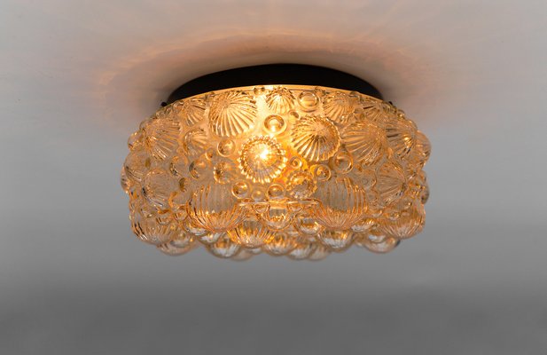 Mid-Century Modern Round Amber 3D Fossil Shell-Shaped Flush Mount, 1960s-KQB-1816915