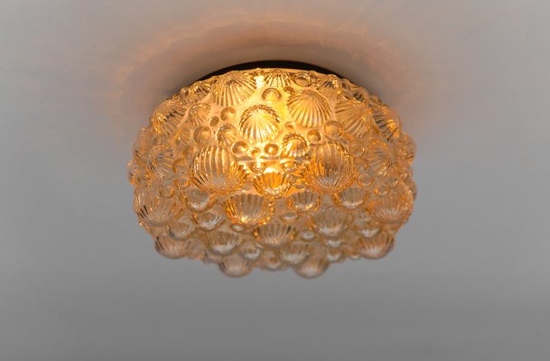 Mid-Century Modern Round Amber 3D Fossil Shell-Shaped Flush Mount, 1960s-KQB-1816915