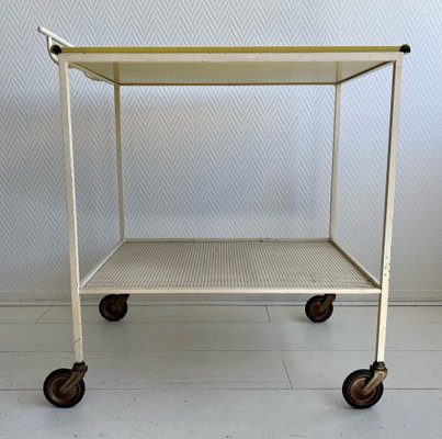 Mid-Century Modern Serving Trolley by Mathieu Matégot, 1960s-LL-1289935