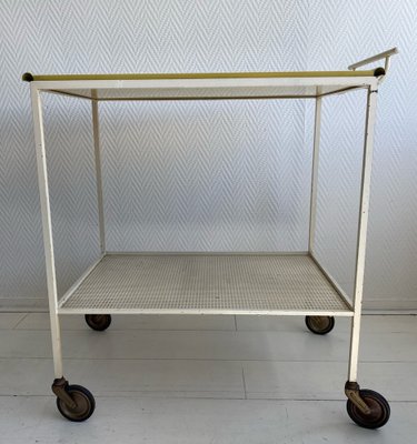 Mid-Century Modern Serving Trolley by Mathieu Matégot, 1960s-LL-1289935