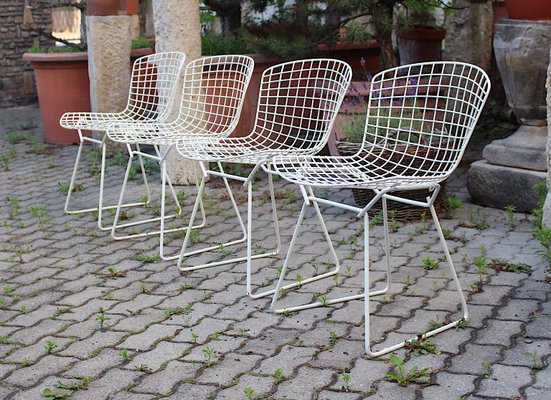 Mid-Century Modern White Chairs from Harry Bertoia, 1950s, Set of 4-NB-1071285