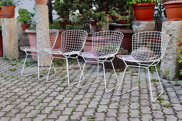 Mid-Century Modern White Chairs from Harry Bertoia, 1950s, Set of 4-NB-1071285