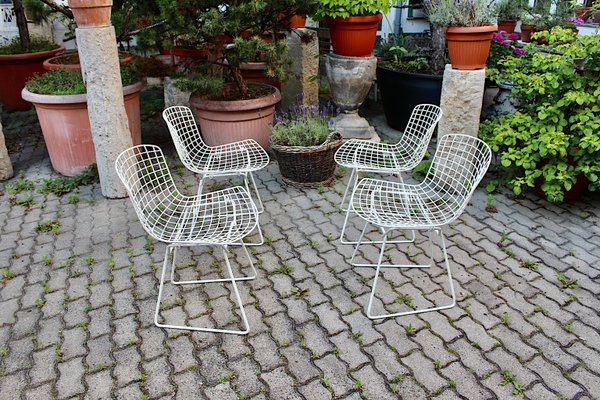 Mid-Century Modern White Chairs from Harry Bertoia, 1950s, Set of 4-NB-1071285