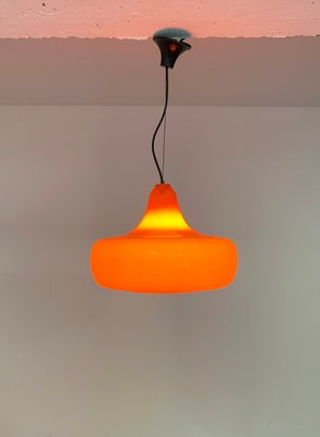 Mid-Century Murano Glass Pendant Lamp by Alessandro Pianon for Vistosi, 1960s-ZM-1398367