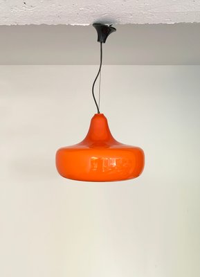 Mid-Century Murano Glass Pendant Lamp by Alessandro Pianon for Vistosi, 1960s-ZM-1398367