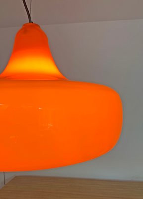 Mid-Century Murano Glass Pendant Lamp by Alessandro Pianon for Vistosi, 1960s-ZM-1398367