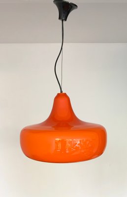 Mid-Century Murano Glass Pendant Lamp by Alessandro Pianon for Vistosi, 1960s-ZM-1398367