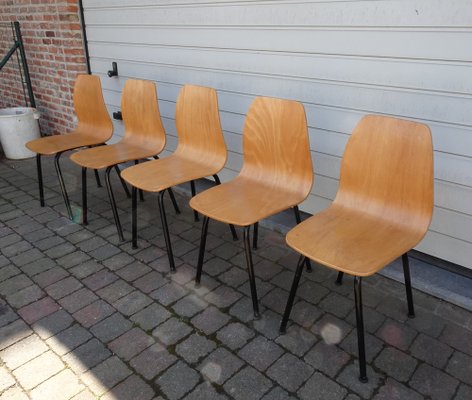 Mid-Century Plywood Chairs, 1960s, Set of 5-AWL-1279403