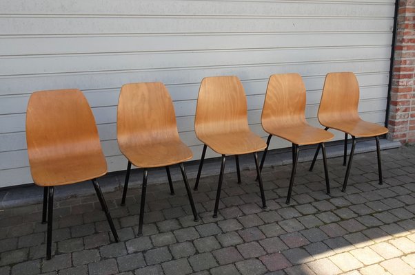 Mid-Century Plywood Chairs, 1960s, Set of 5-AWL-1279403