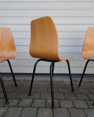 Mid-Century Plywood Chairs, 1960s, Set of 5-AWL-1279403