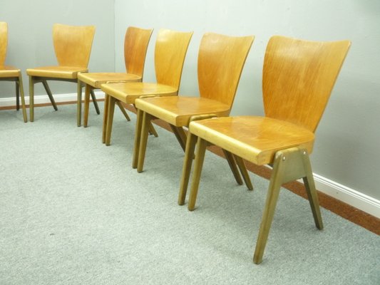 Mid-Century Plywood Dining & Stacking Chairs from Kaderer München, 1950s, Set of 10-UG-1226503