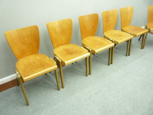 Mid-Century Plywood Dining & Stacking Chairs from Kaderer München, 1950s, Set of 10-UG-1226503