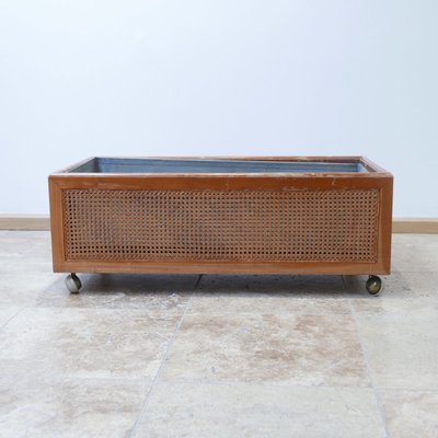 Mid-Century Rattan Indoor Planter, 1950s-JRP-623184